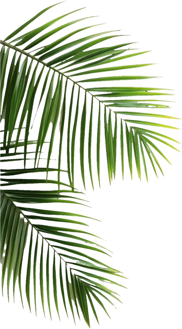 Decorative palm frond
