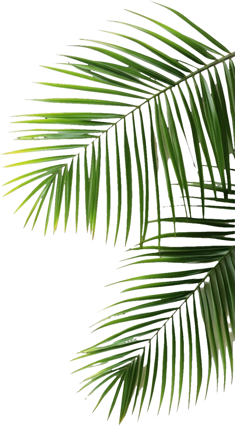 Decorative palm frond